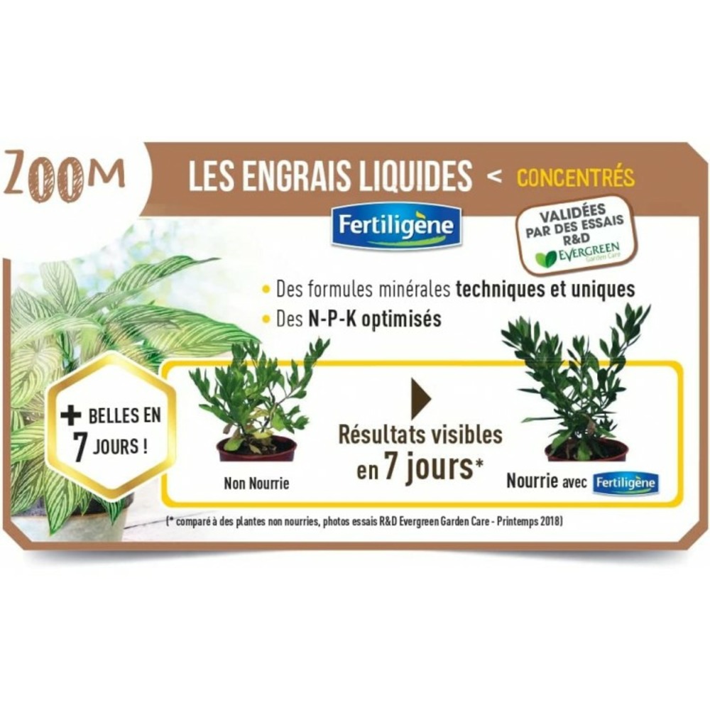 Fertiligène engrais bonsaï 250 ml (febo250)