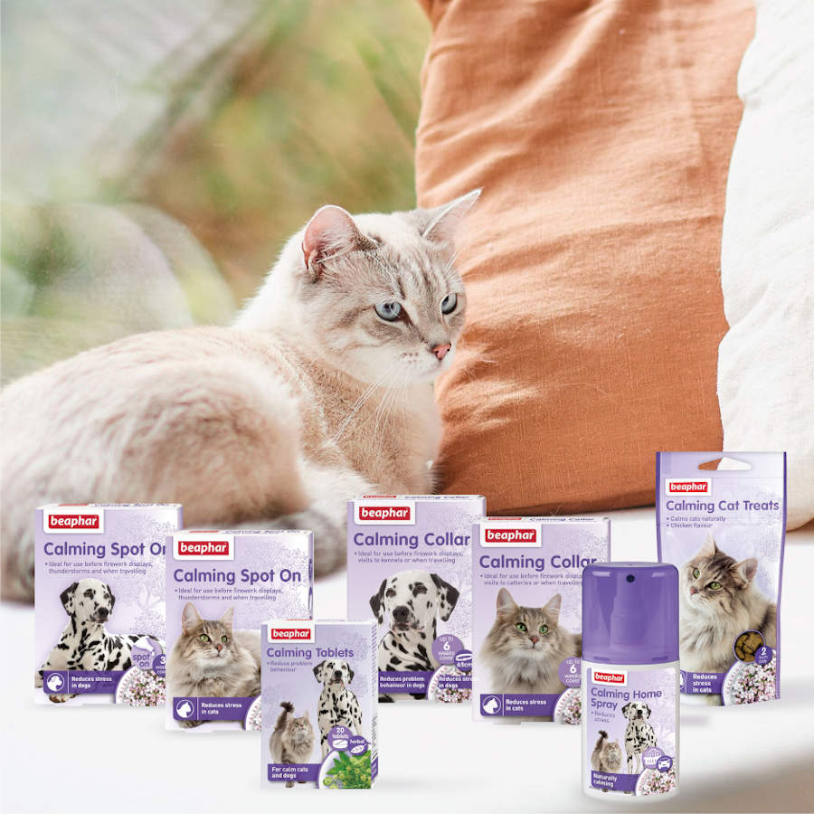 Difusor relaxante Beaphar No Stress e refil para gatos