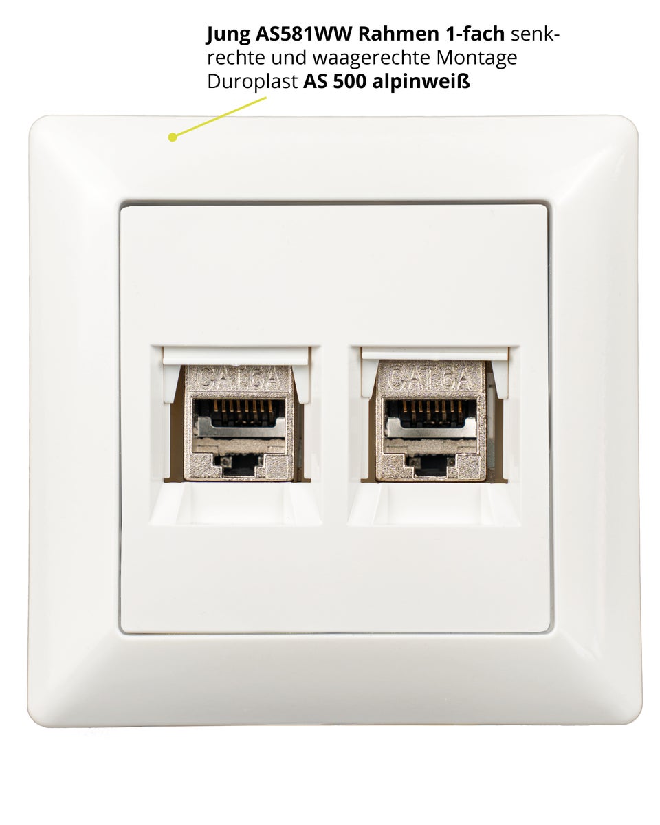Keystone RJ45 Cat. 6A module incl. Jung Keystone 2-voudige afdekking A1569-2WEWW & 1-voudige afdekplaat AS581WW alpinewit, netwerkaansluiting