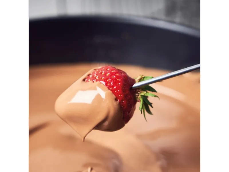 Gastroback Fondue Set - Fonduegryde - 2 liter - 1 kW