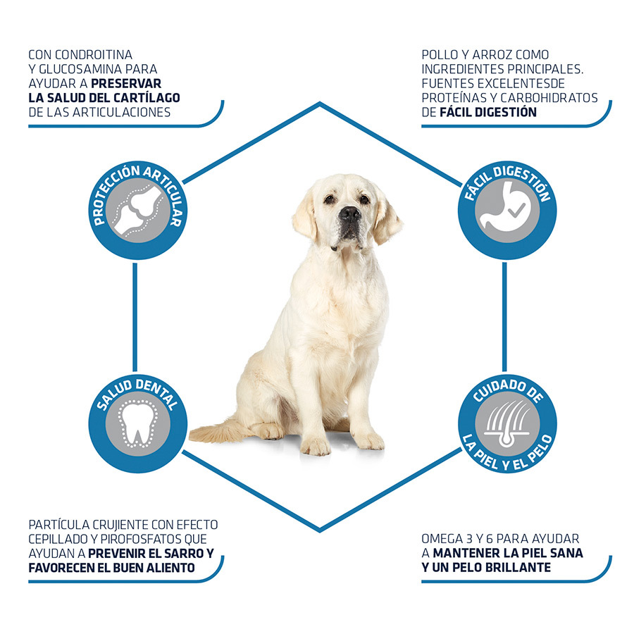 Ração Advance Active Defense Maxi Adult para Cães com Frango e Arroz