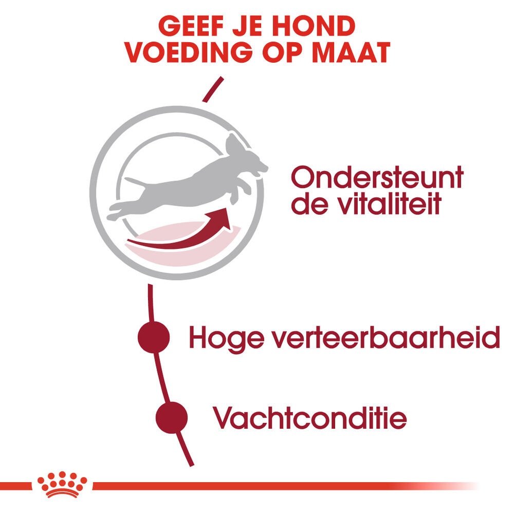 Royal Canin SHN Medium Adult 7  - Hondenvoer - 4 Kilogram - gevogelte