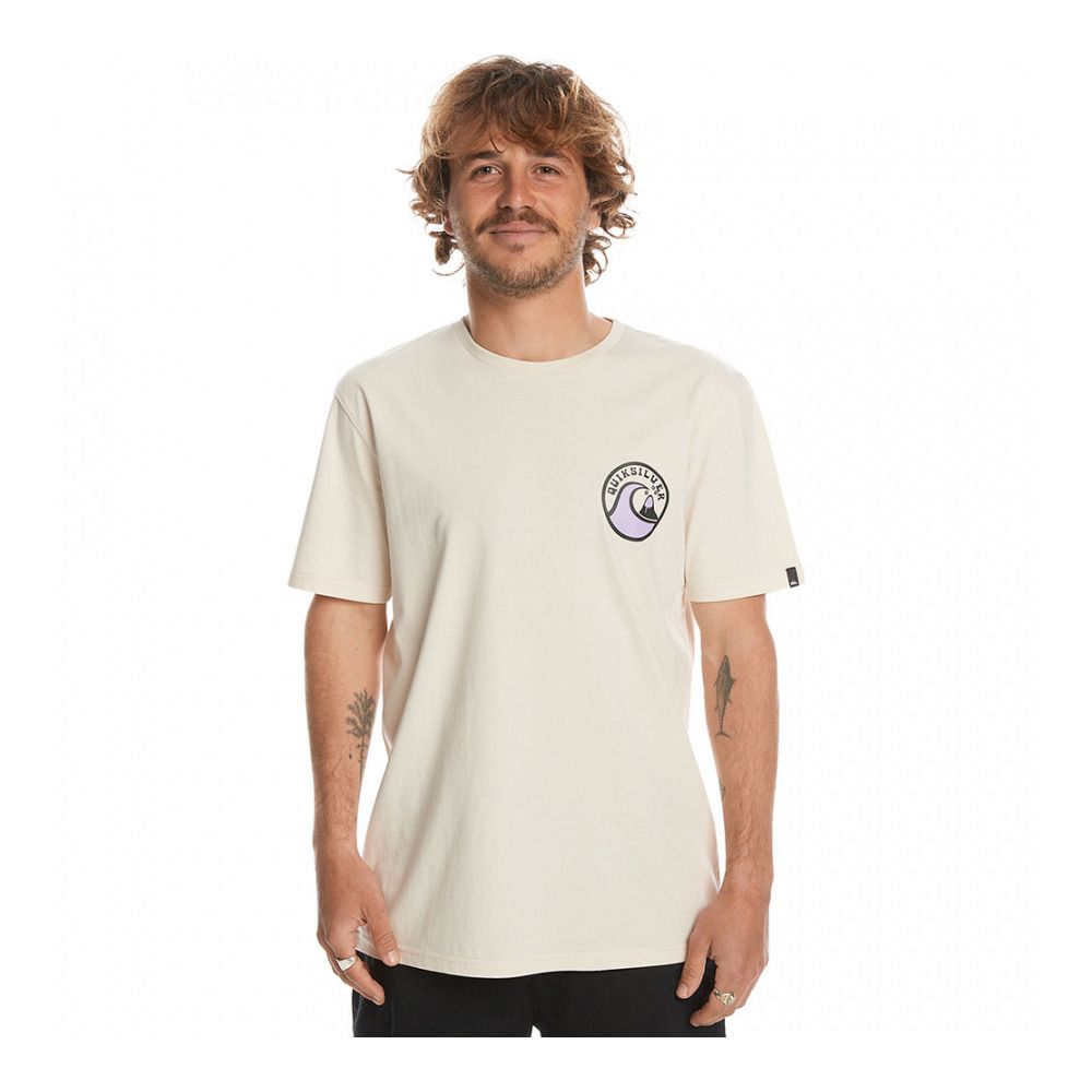 Quiksilver SCREEN 2 INJECTION - Tee-shirt Homme birch