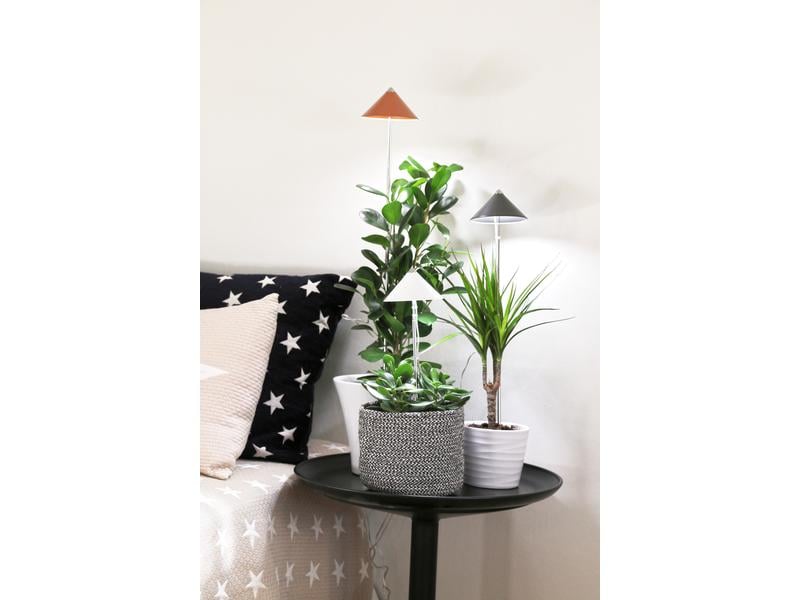 Venso Solutions Pflanzenleuchte SunLite 7 W, Grau LED-Pflanzenlampe mit Vollspektrum