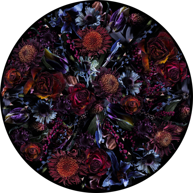 Moooi Carpets Fool's Paradise vloerkleed 350