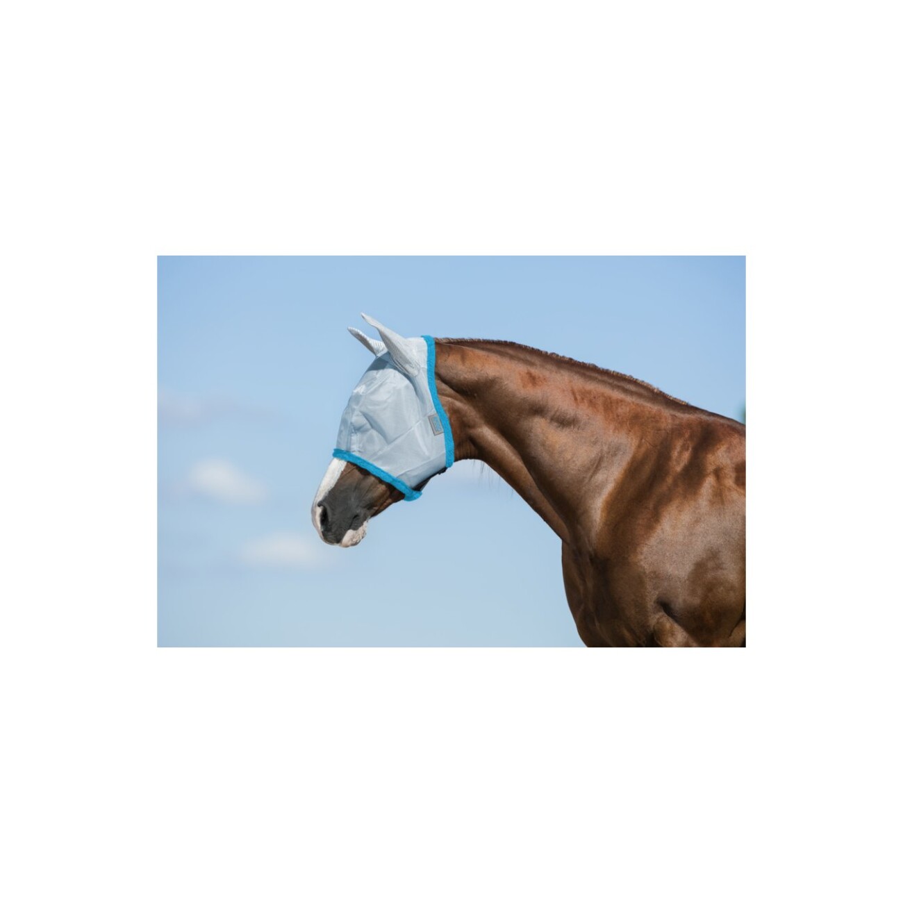 Amigo Fliegenmaske Baby Blue WB (Warmblut)