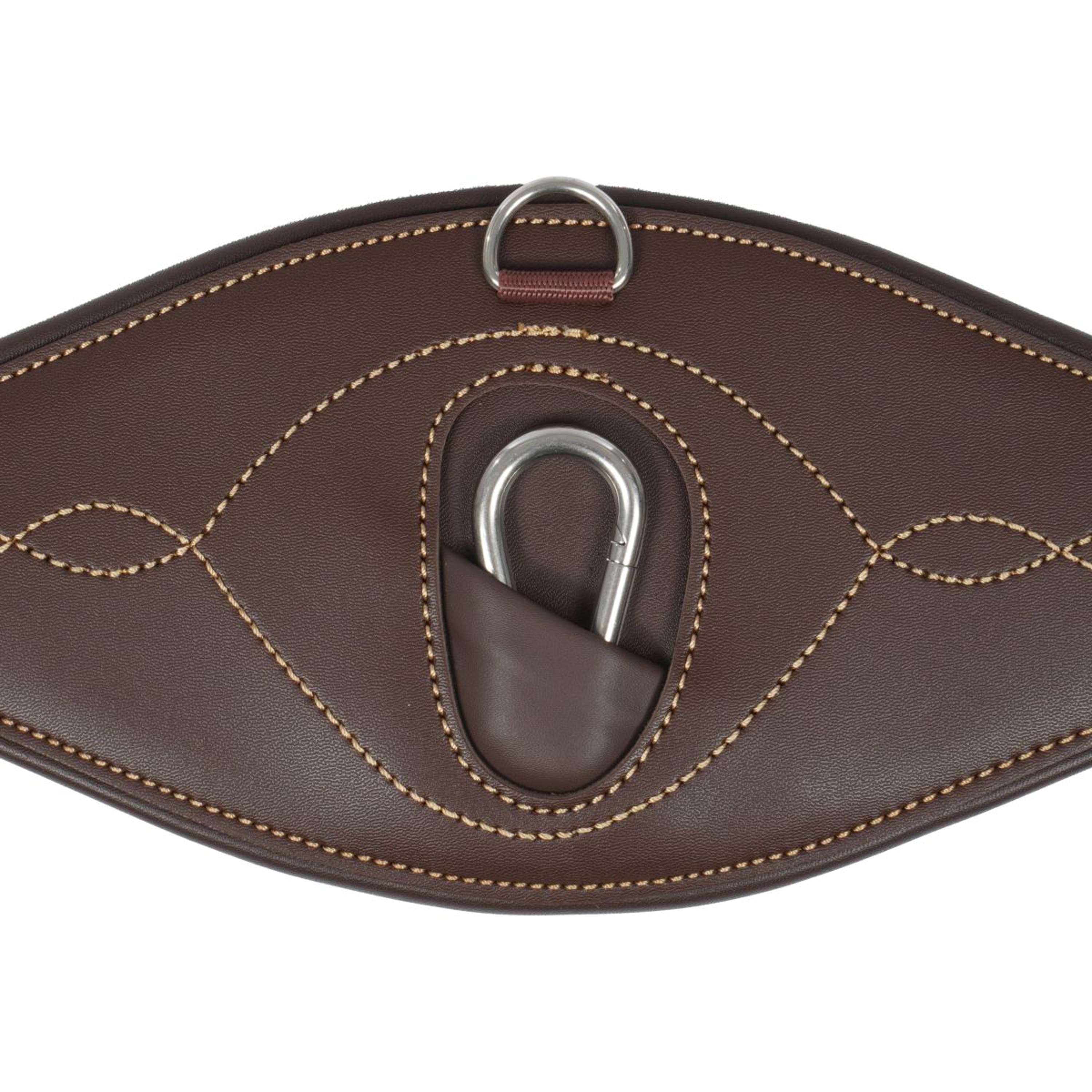 Kentucky Springsingel Anatomic Brown