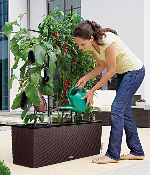 LECHUZA® Polyrattan-Kasten Trio Cottage,