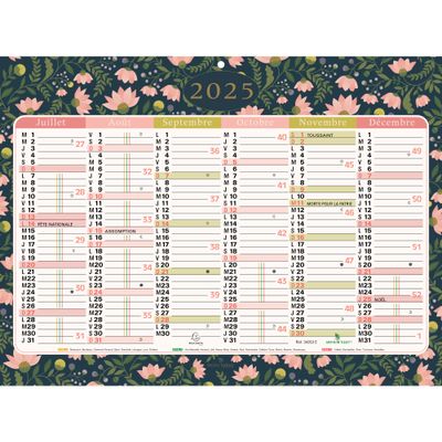 Calendrier Mini Labo - 6 mois par face - 22 x 29,5 cm - Exacompta