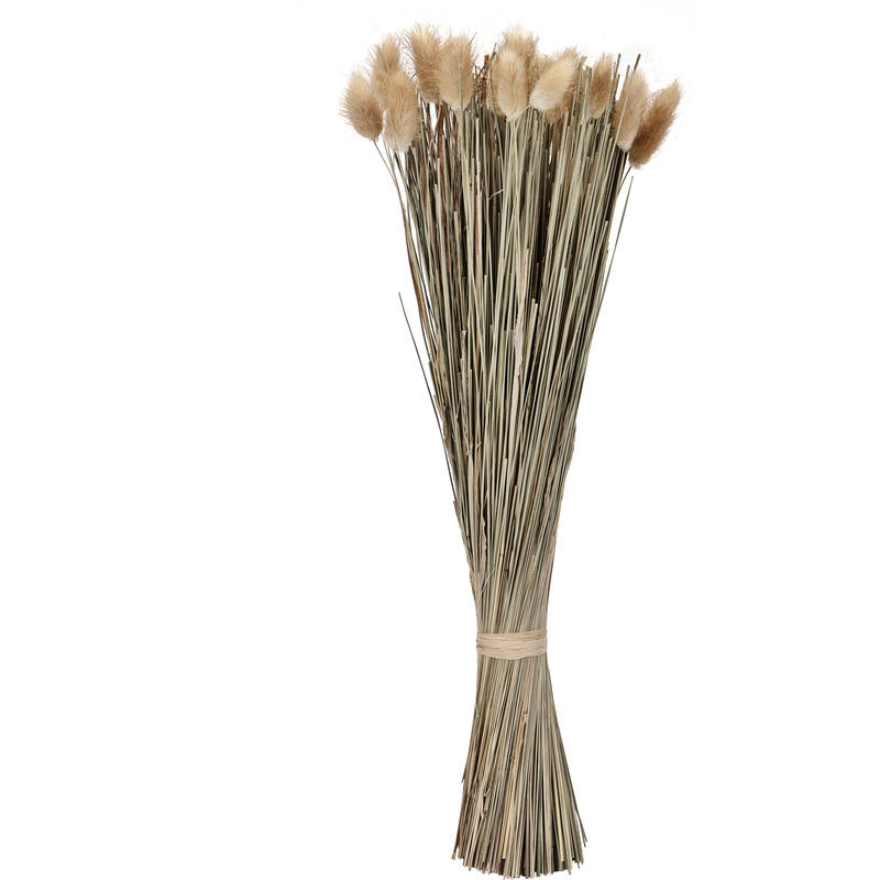 EGLO Trockenblume, 45 cm, beige