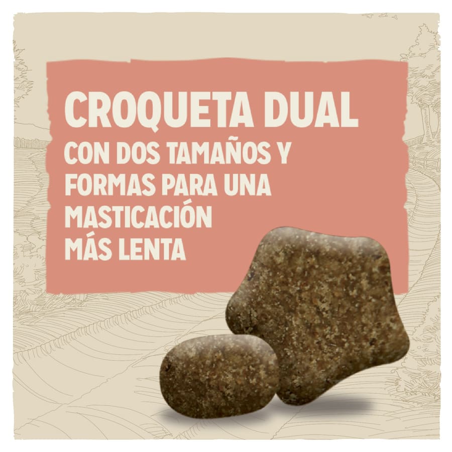 Ração para cães Dog Chow Sensitive Salmon
