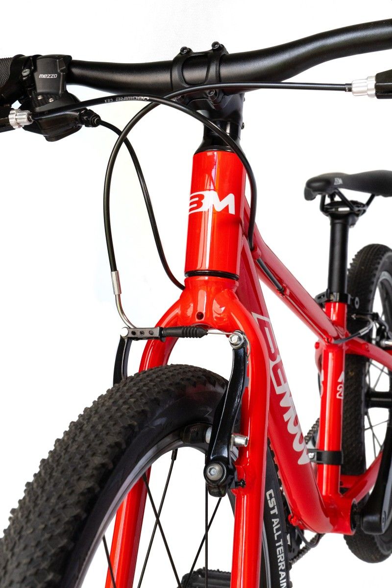 Bemoov M20