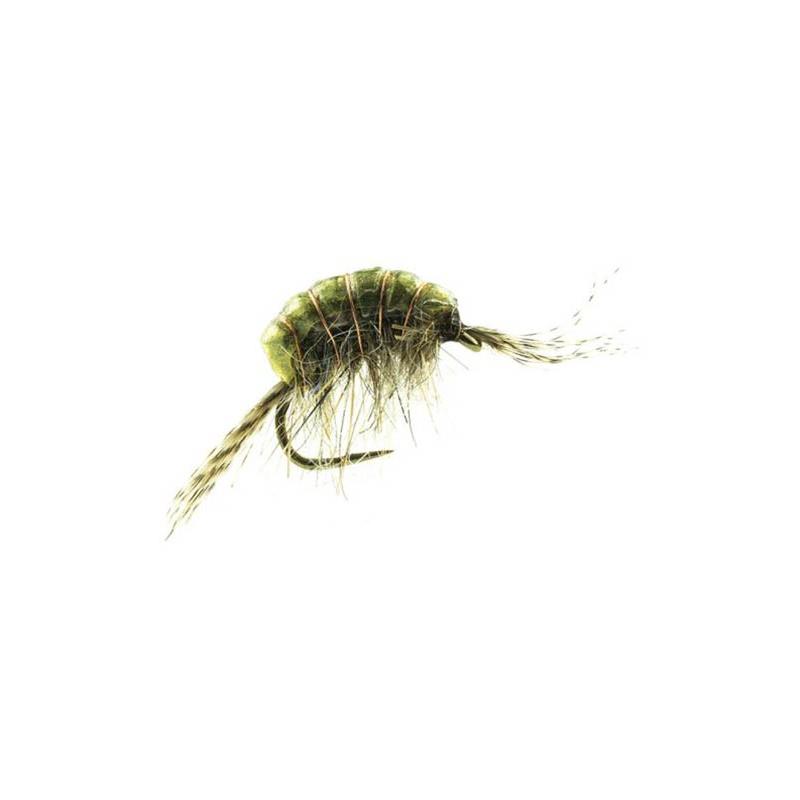 Mouche Devaux Tung Gamt 03