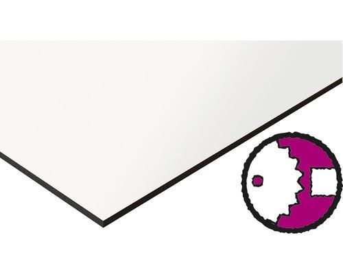 HPL Kompaktplatte Anthrazit 2800x1300x6 mm (Zuschnitt online reservier