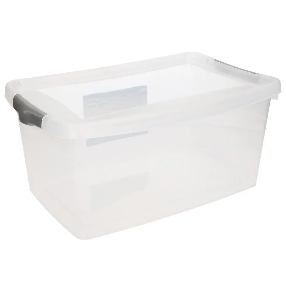Hega Hogar Opbergbak - met deksel - 4 liter - 29 x 19 x 13 cm