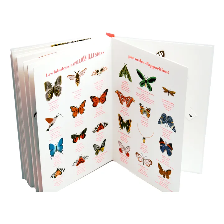 Helium Livre Papillons Illusions - B. Duisit & J. Brouant
