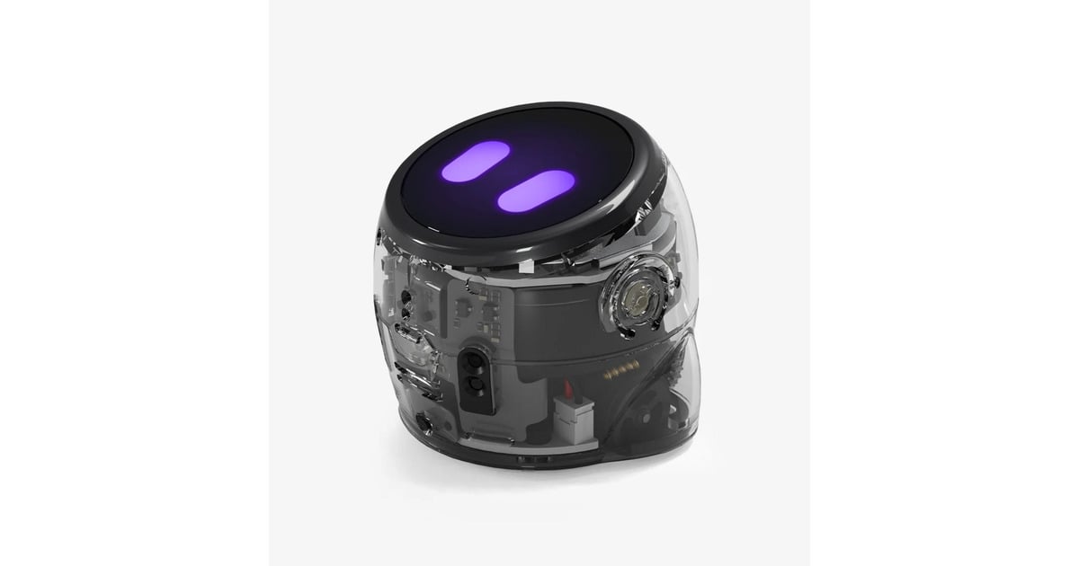 OzobotAri Entry Kit Robot