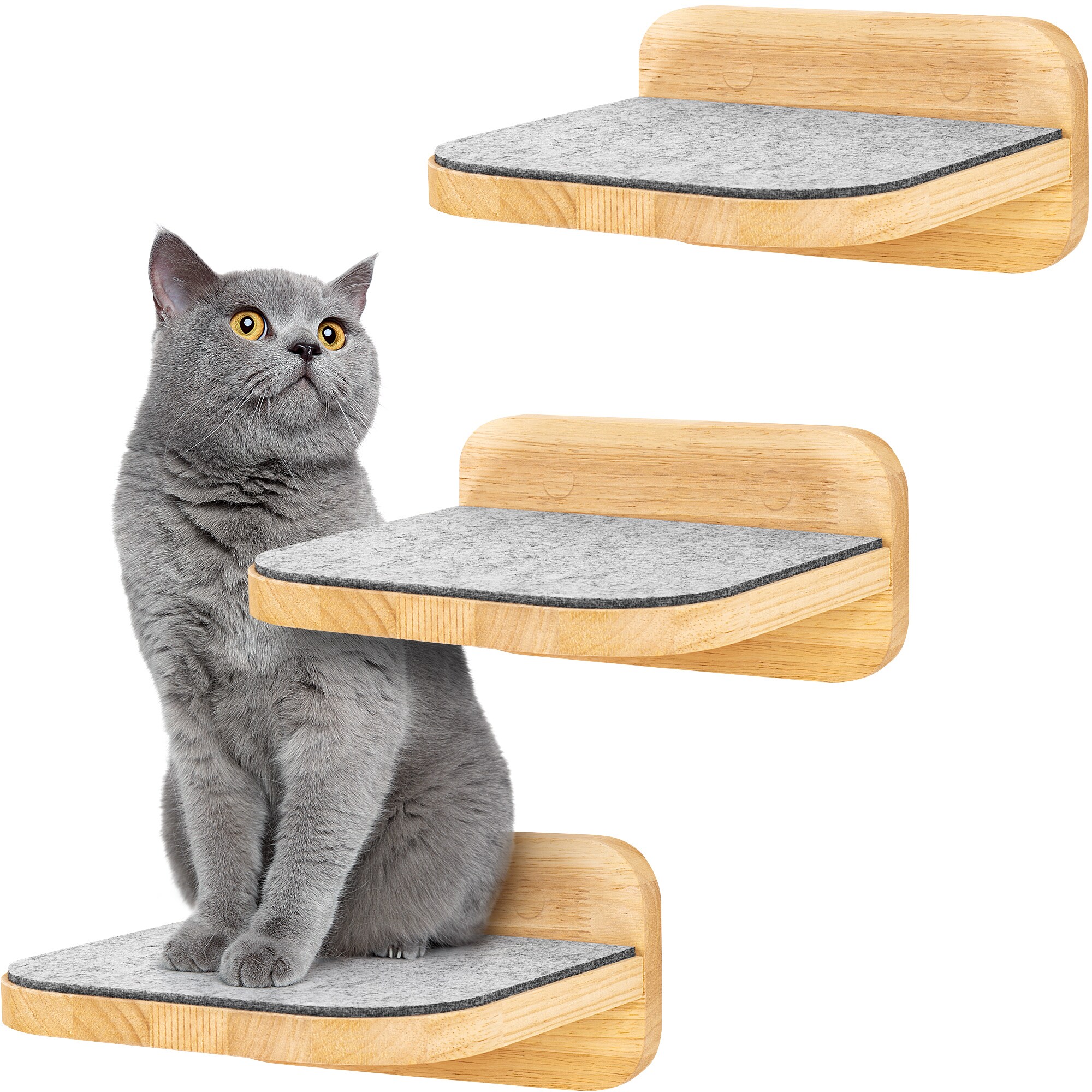 HAPPYPET Katzentreppen 3er-Set für Wandmontage - Nachhaltiges Hartholz, Designer Kletterwand Katzen, Katzentreppe mit Filzbezug, Katzenleiter, Katzenwand zum Klettern, Catwalk | Natur3x Stufen L