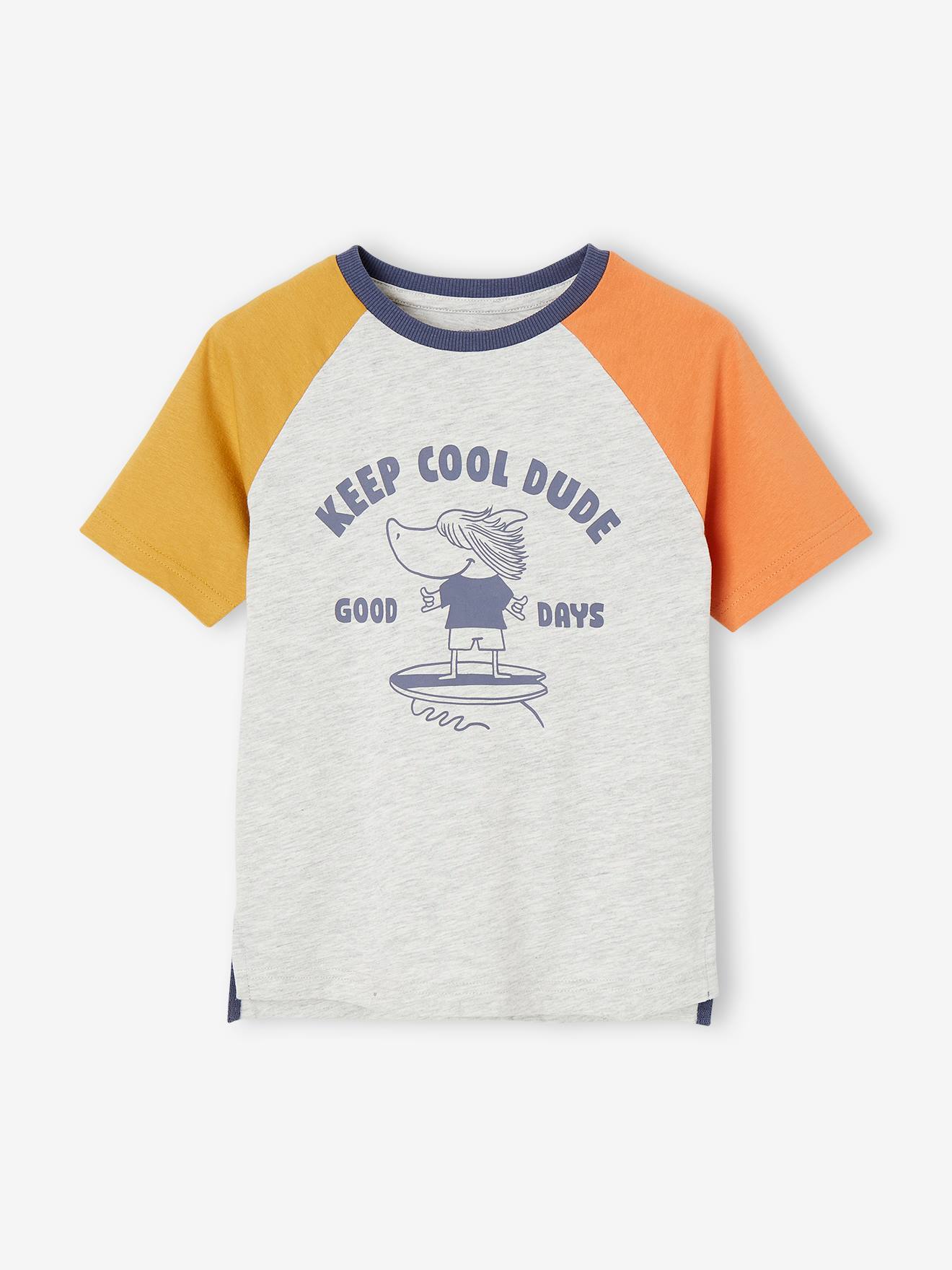 Camiseta infantil masculina colorblock com estampa de tubarão, cinza mesclado.