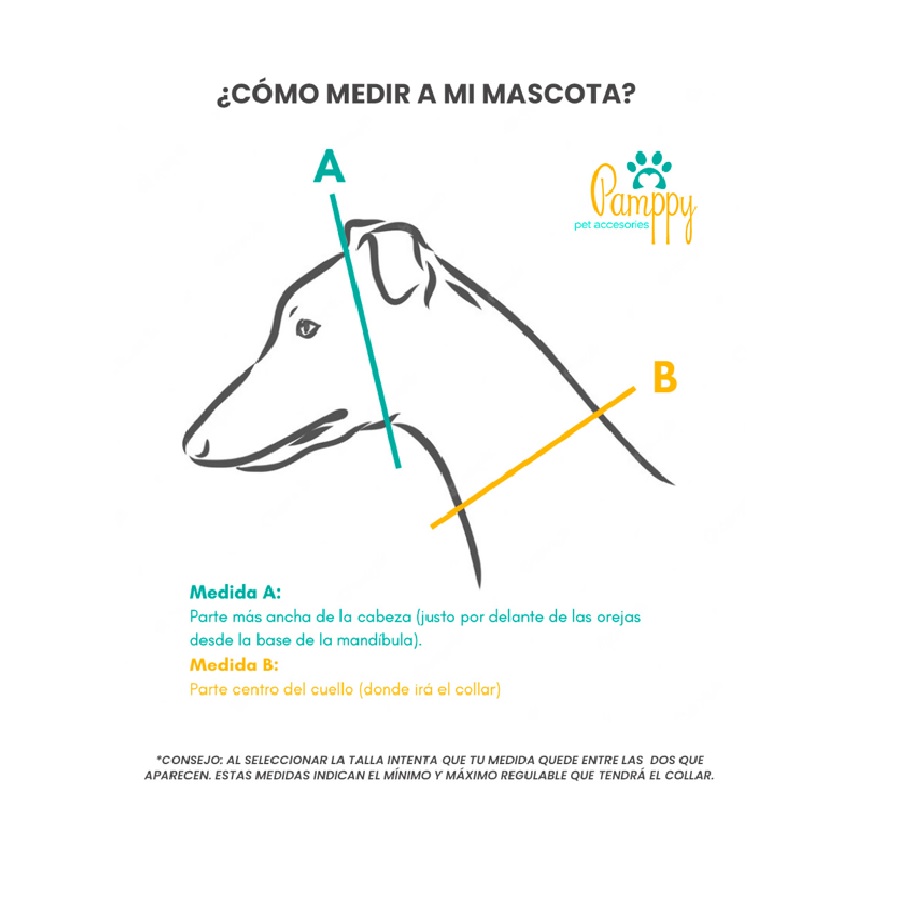 Coleira ajustável multicolorida psicodélica Pamppy Galgo Speedy para cães