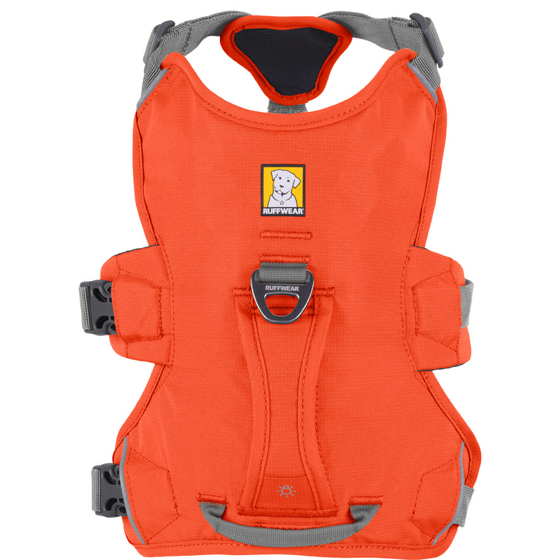 Ruffwear Web Master Hundegeschirr