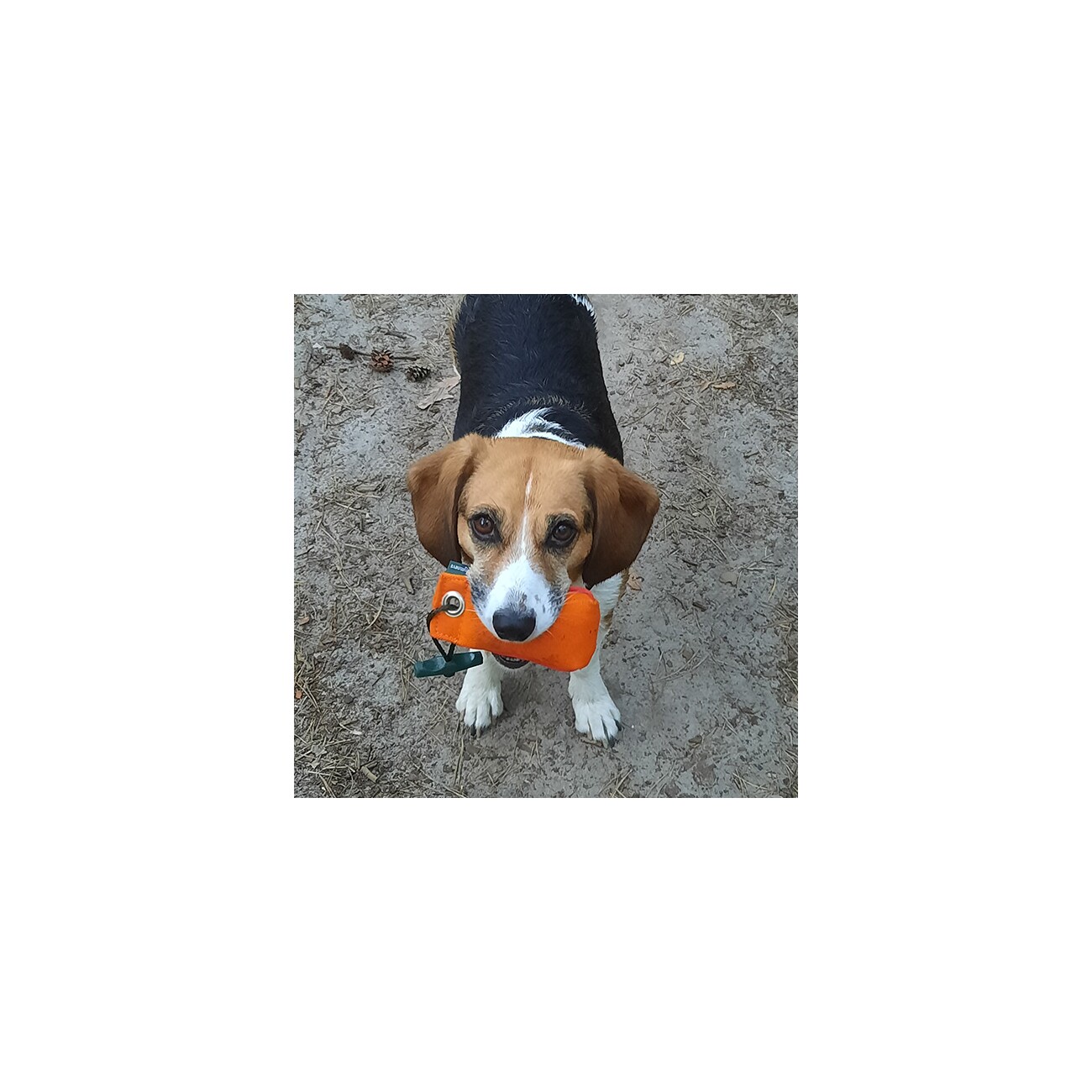 ROMNEYS Dummy Suchen 100g orange