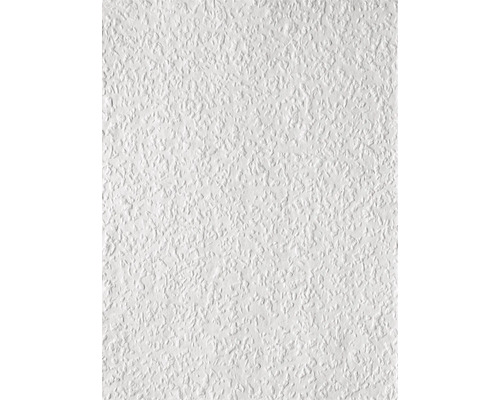 Erfurt Paper-Rough-fiber 1003234 Avantgarde 20x0.53 m