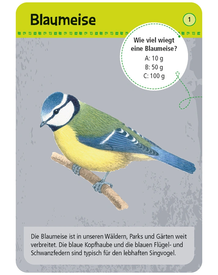 Bestimmungskarten 50 HEIMISCHE TIERE IN STADT & GARTEN in bunt