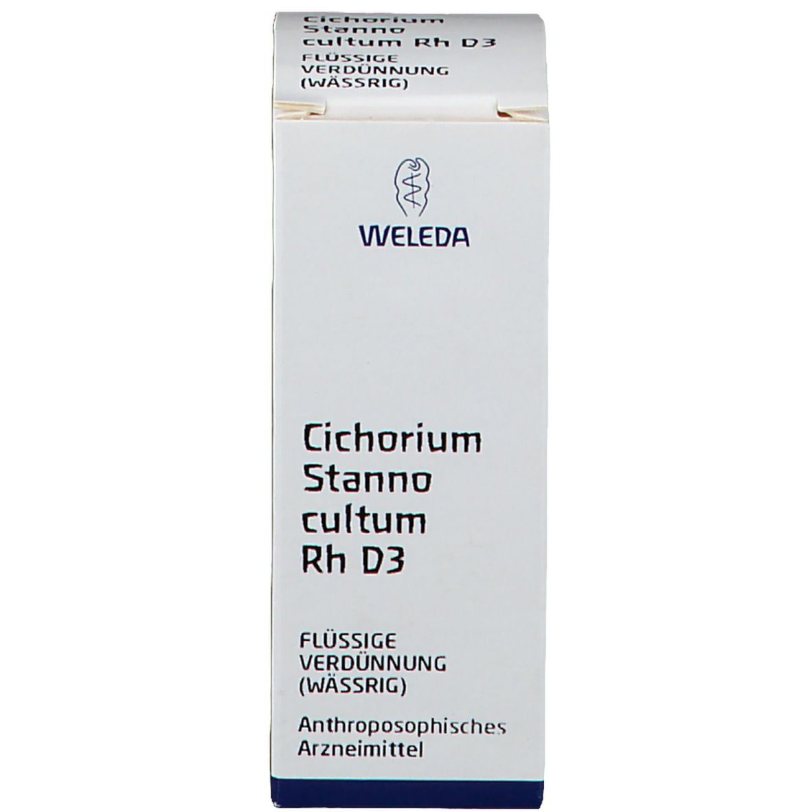 Cichorium Stanno cultum Rh D3