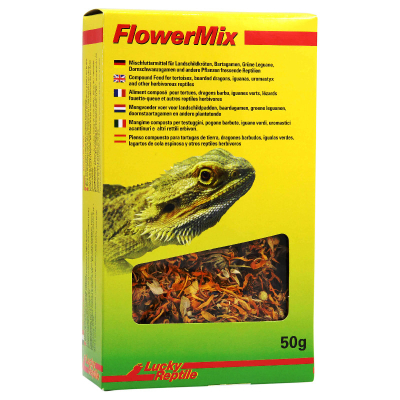 Lucky Reptile Flower Mix