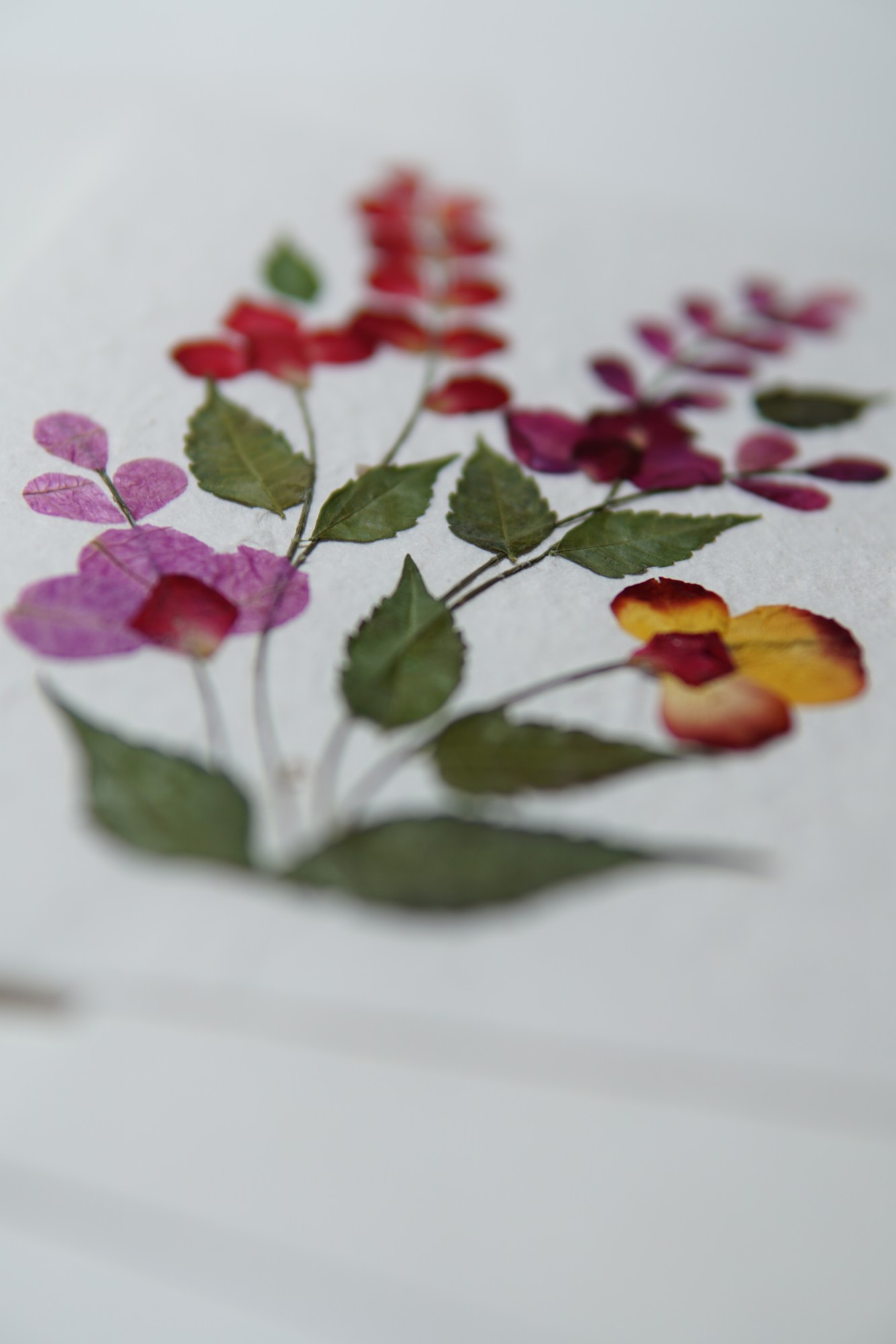 Grußkarte 'Blume', B 12,5 cm, H 18 cm günstig bestellen