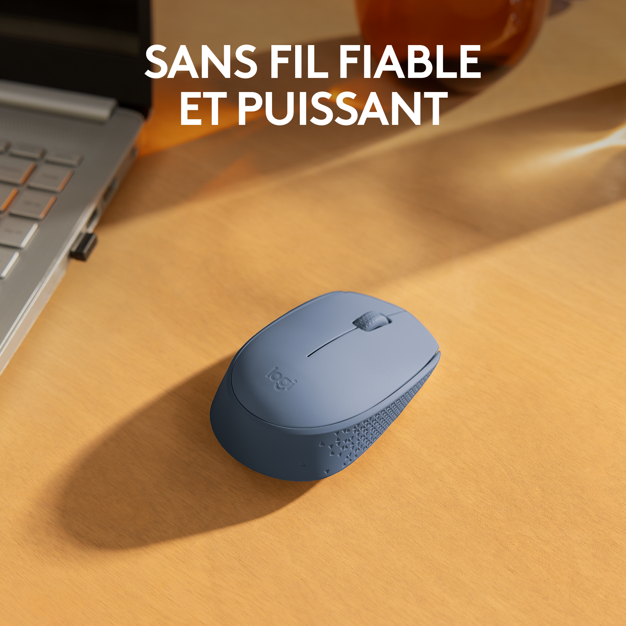 Logitech M171 Wireless Mouse (Bleu Gris)