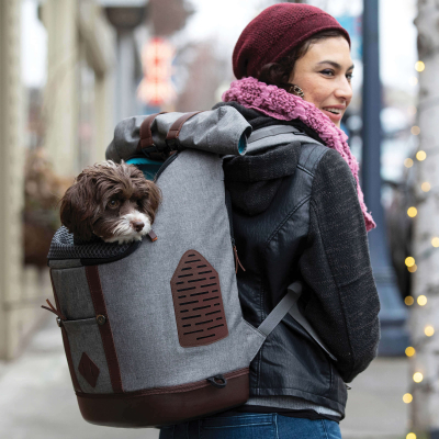 Kurgo Hunderucksack K9 in Grau für Hunde bis 11.3kg