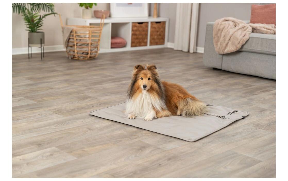Hunde-Bett CityStyle BeigeReisedecke für Hunde