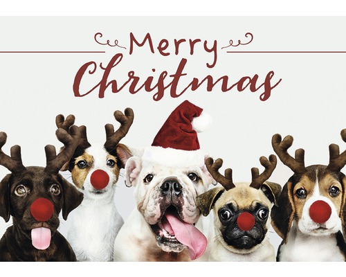 Kerstkaart Vrolijk Kerstfeest Hond 14,8x10,5 cm