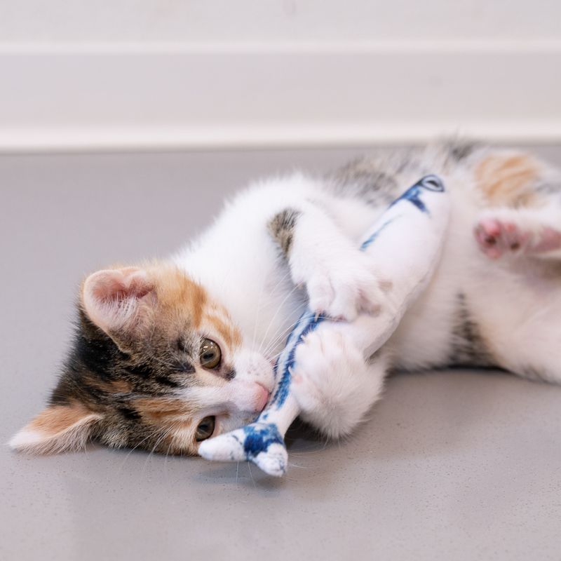Jouet TIAKI Sardine garnie de menthe à chat