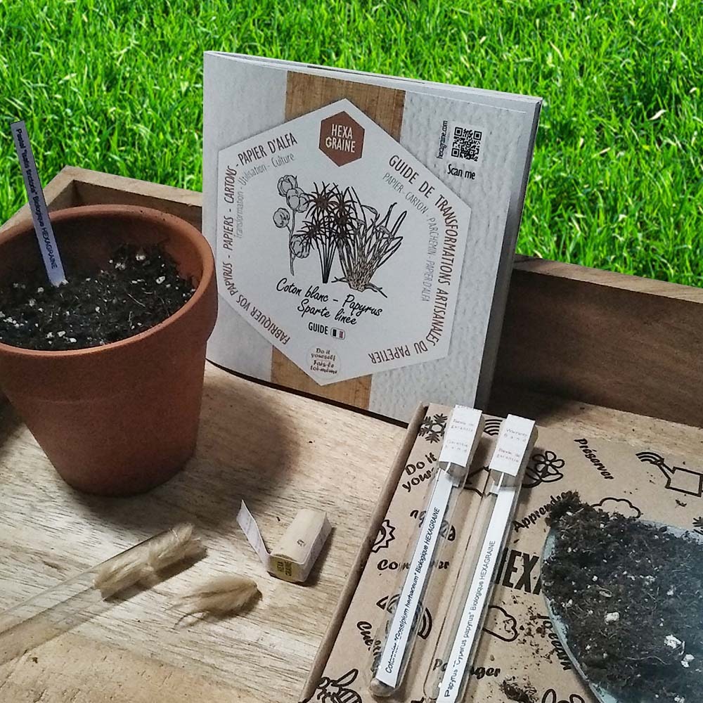 Coffret de semences papetier papiers carton parchemin