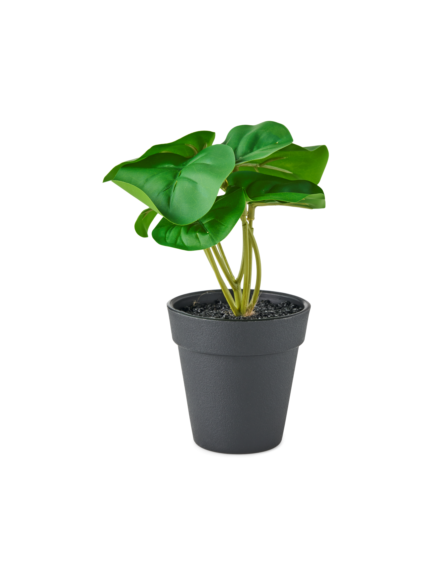 Kunstig plante i potte | Ø8 x 18 cm. | Dark Green