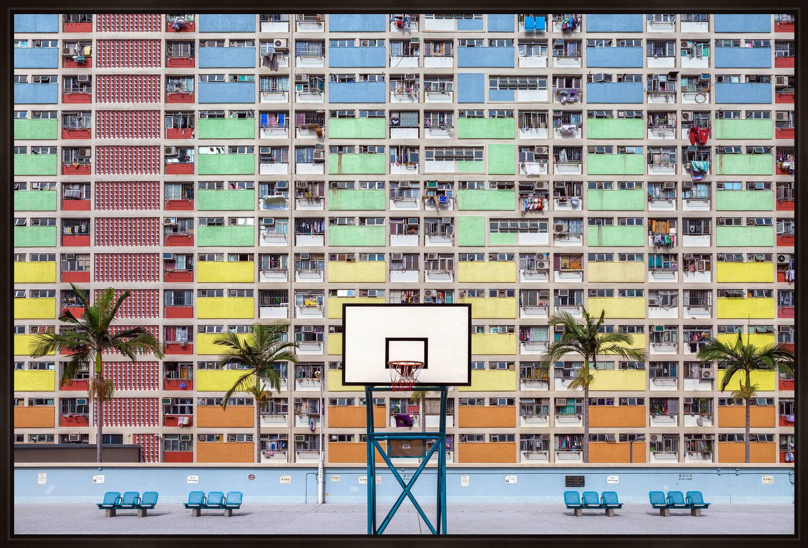 Rainbow Hoops by Peter Stewart - Limited Edition. Edition of: 100. Signed.