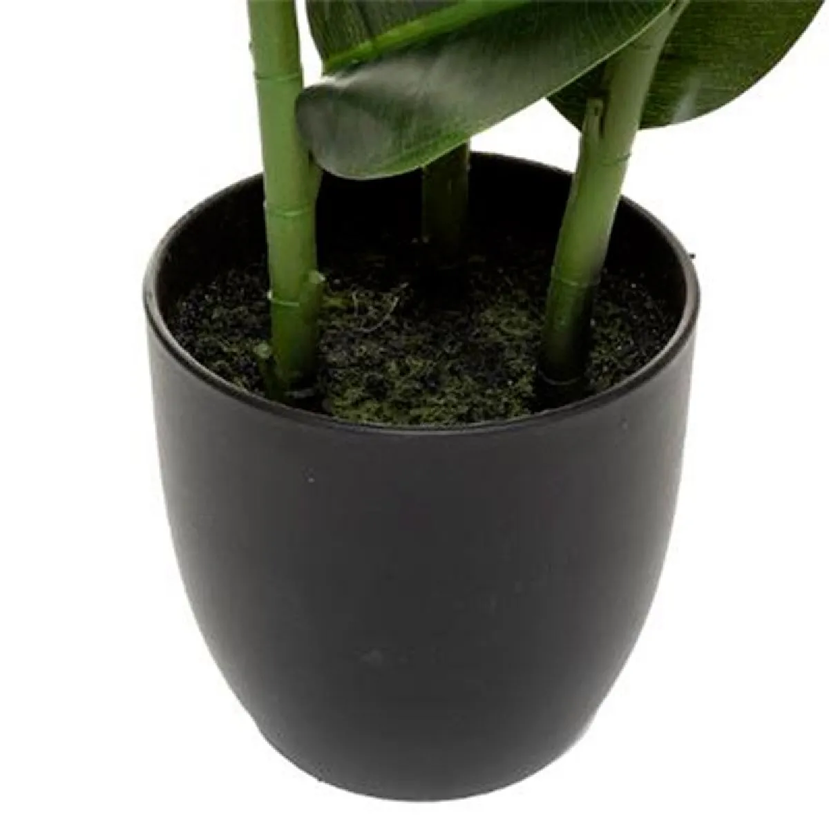 Atmosphera, Createur D'Interieur Atmosphera Ficus Robusta H.120 cm