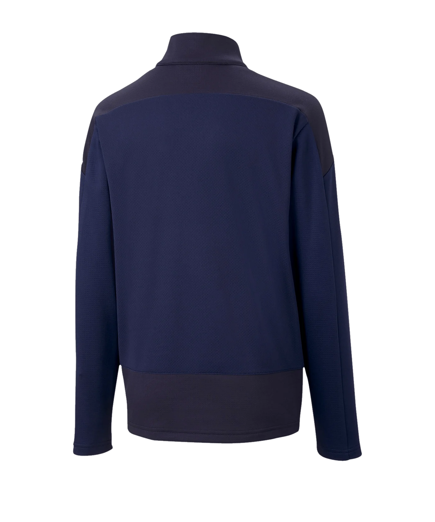 PUMA teamGOAL 23 Training 1/4 Zip Top Kids F06