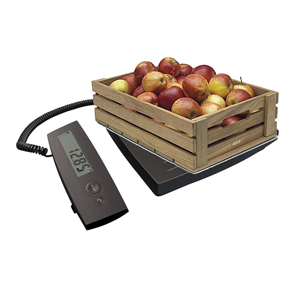Balance maxi 100 kg PC100 Terraillon