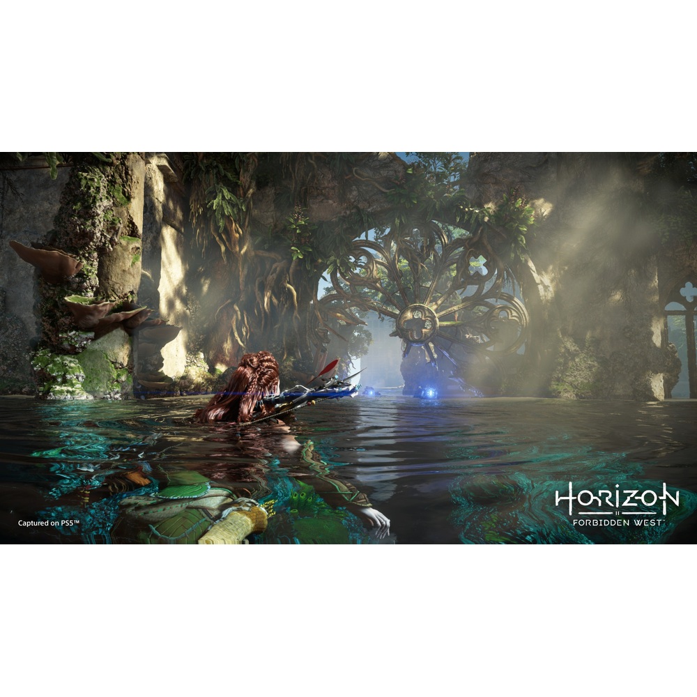 Horizon Forbidden West PS5