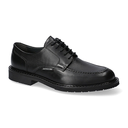 phoebus  ANTICA 8800  BLACK