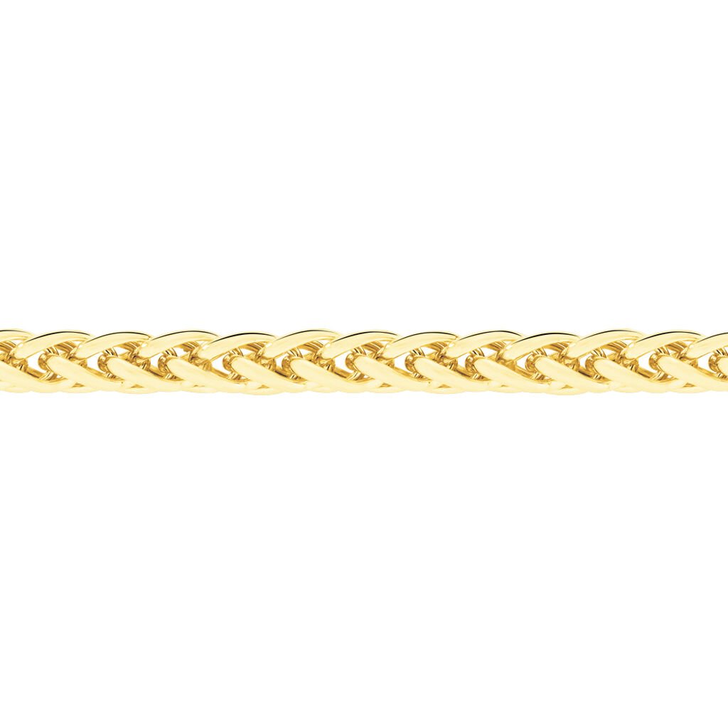 Chaîne Jayna Danilo Maille Palmier Or Jaune