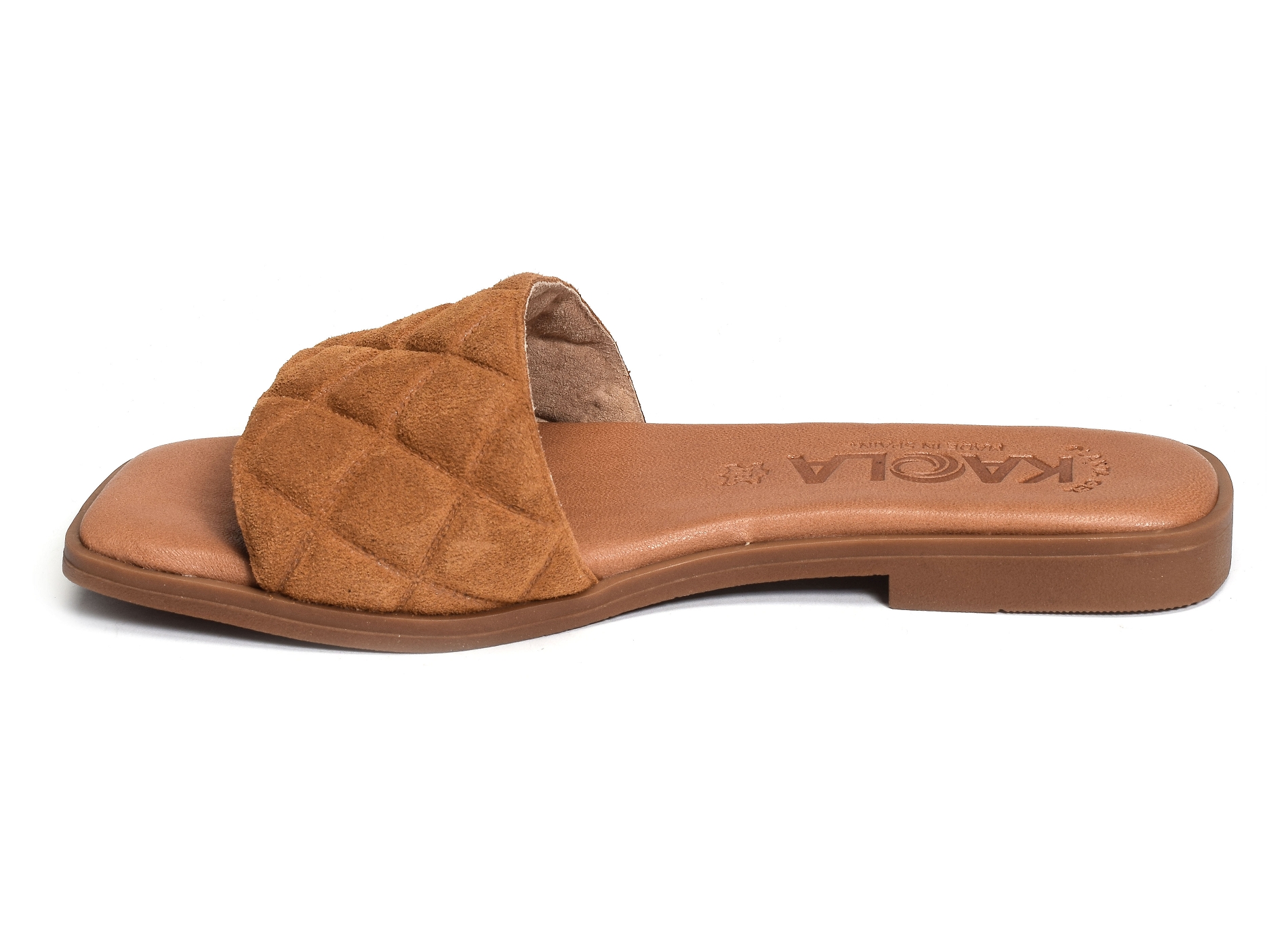 1601 camel