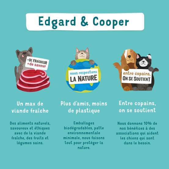 Croquettes chien adulte sans céréales au saumon - 2,5 kg