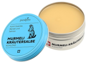 PURALPINA Murmeli Kräutersalbe kühlend, 100 ml