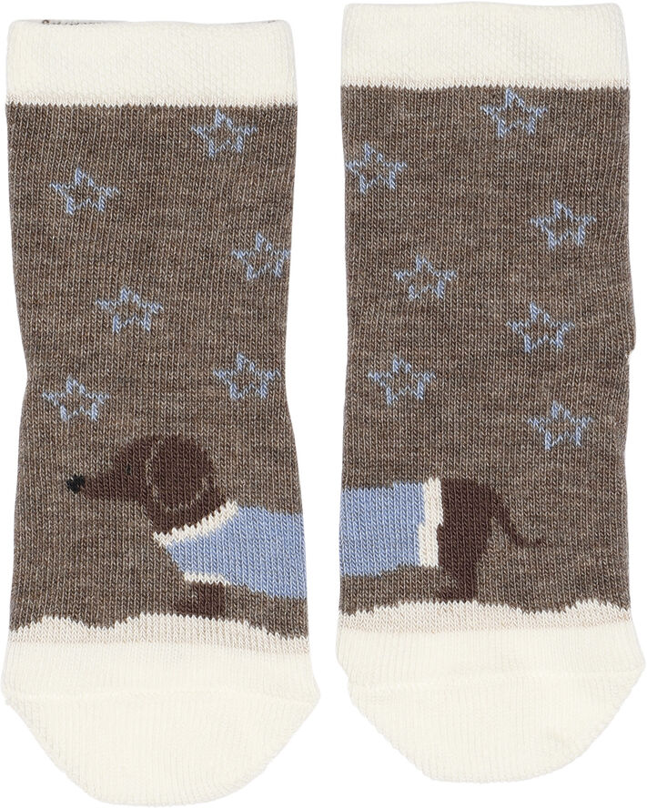 Melton Dachshund socks Denver melange