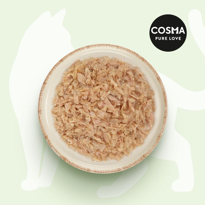 Lot Cosma Asia en gelée 12 x 85 g